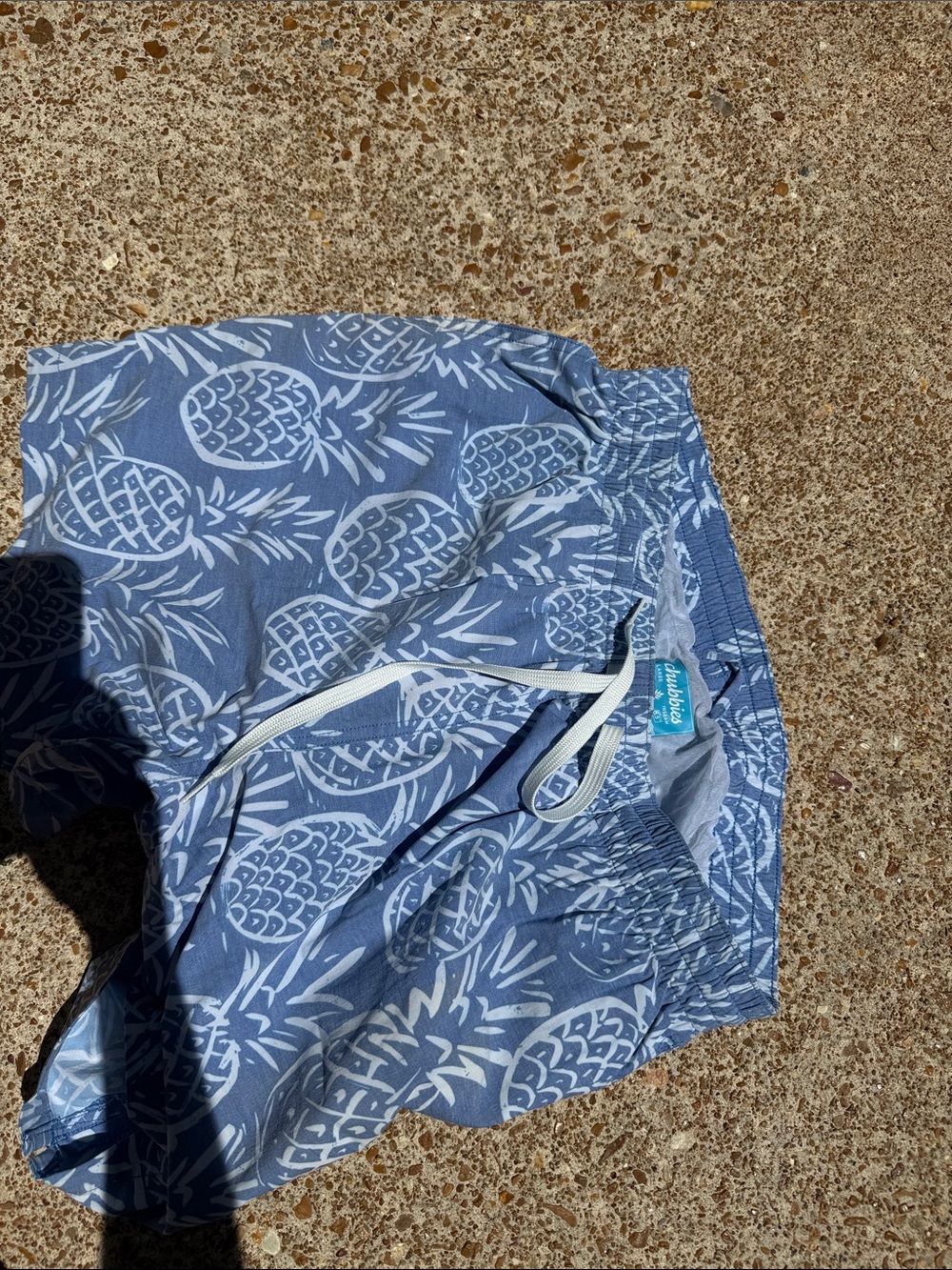 Chubbies Light Blue Pineapple Print Swim Trunks